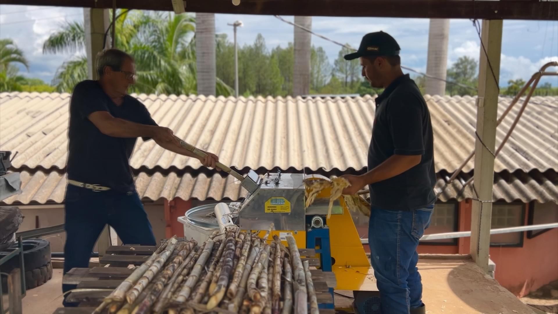 cooperativismo-tem-muita-adesao-no-agronegocio